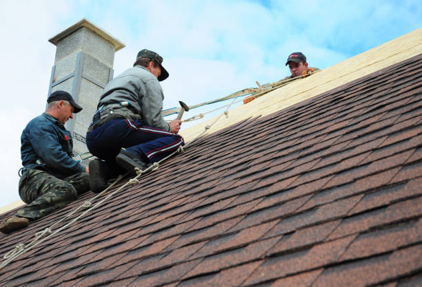 Best Residential Roofing Contractor  in Venetian Vlage, IL