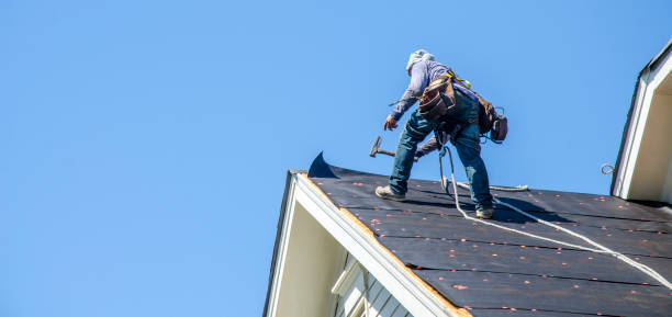 Best Flat Roof Repair Services  in Venetian Vlage, IL